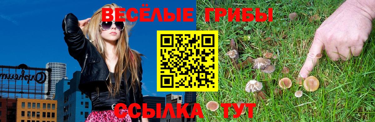 Галлюциногенные грибы мухоморы Лянтор