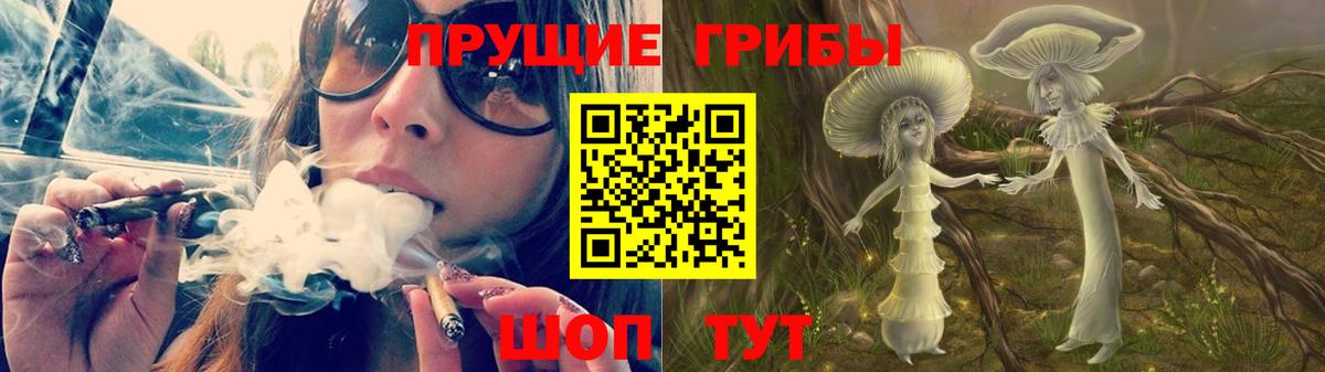 Псилоцибиновые грибы Psilocybe  Вход с VPN  Лянтор 